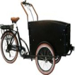 Troy Elektrische Bakfiets - Fiets (elektrisch) - Unisex - Matzwart - 20 Inch Troy Elektrische Bakfiets - Fiets (elektrisch) - Unisex - Matzwart - 20 Inch