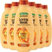 Garnier Loving Blends Honing Goud Herstellende Shampoo - 6 x 300 ml Garnier Loving Blends Honing Goud Herstellende Shampoo - 6 x 300 ml