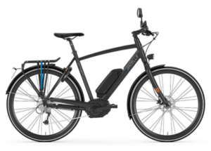Gazelle Cityzen Speed