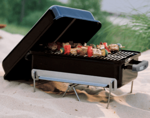Weber Go-Anywhere