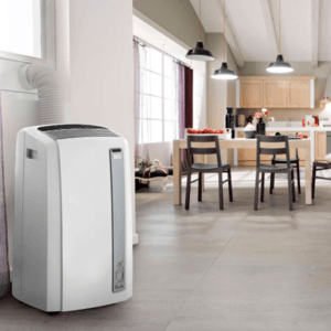 DeLonghi Pinguino PAC AN112 Silent