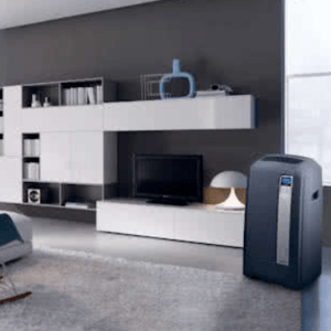 DeLonghi Pinguino PAC WE128 Eco Silent